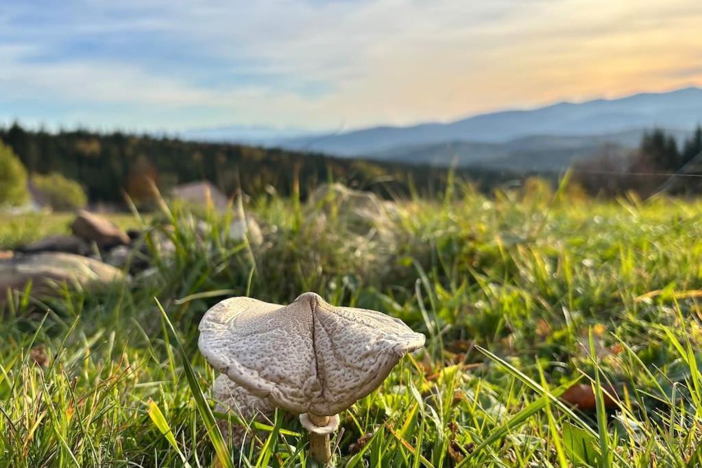 Blizej Nieba Koskowa Gora Villa Bogdanowka Esterno foto