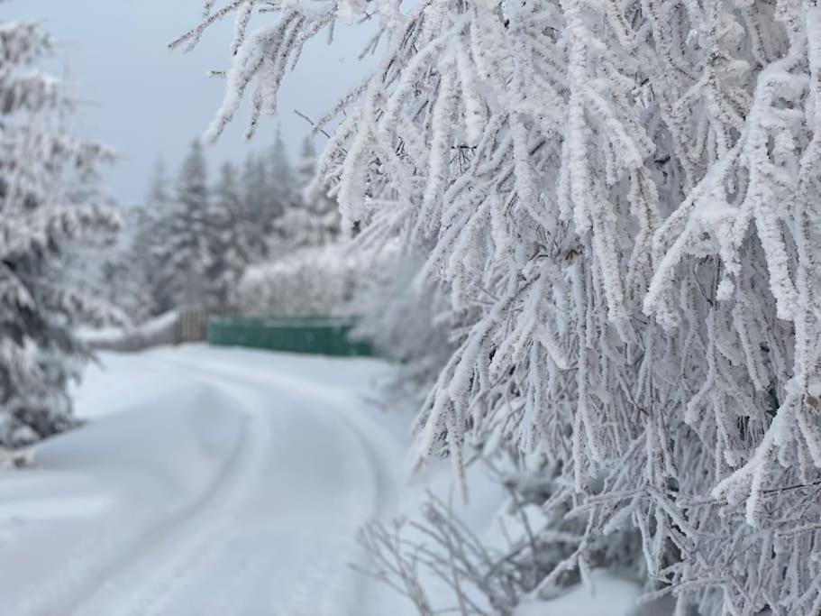 Blizej Nieba Koskowa Gora Villa Bogdanowka Esterno foto