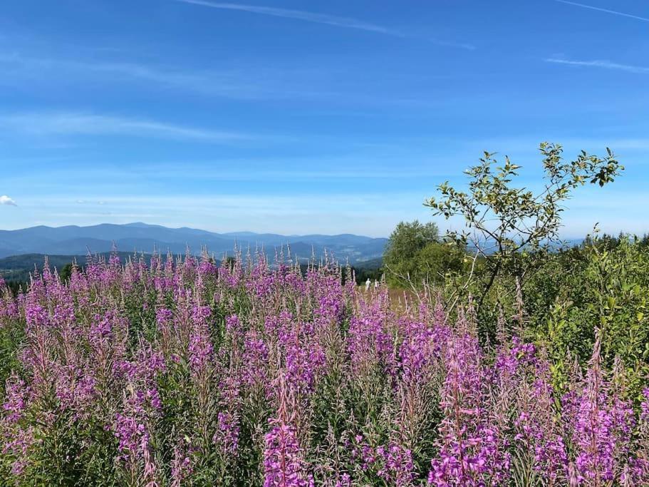 Blizej Nieba Koskowa Gora Villa Bogdanowka Esterno foto