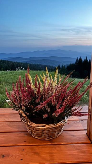 Blizej Nieba Koskowa Gora Villa Bogdanowka Esterno foto