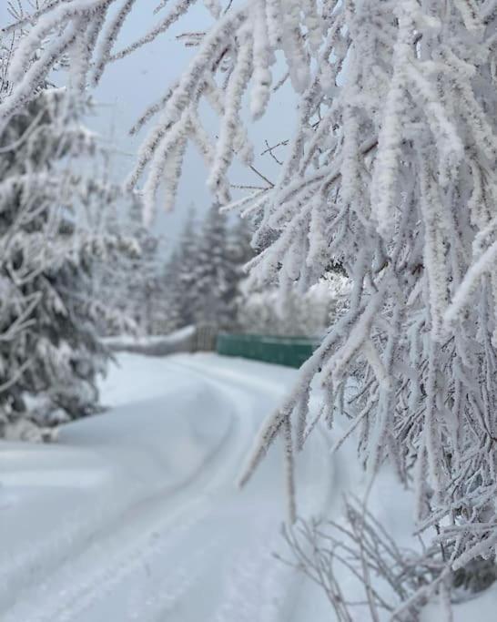 Blizej Nieba Koskowa Gora Villa Bogdanowka Esterno foto